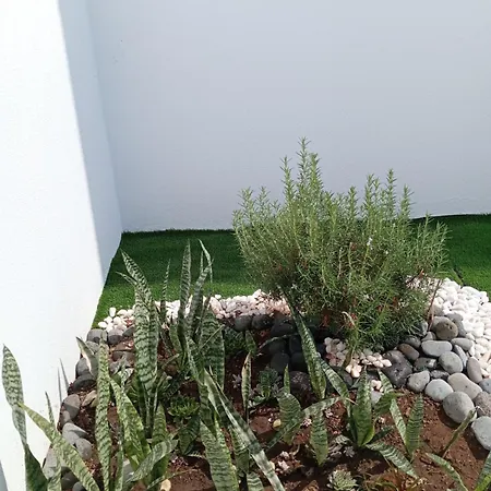 别墅 House Caetano 蓬他达维托亚