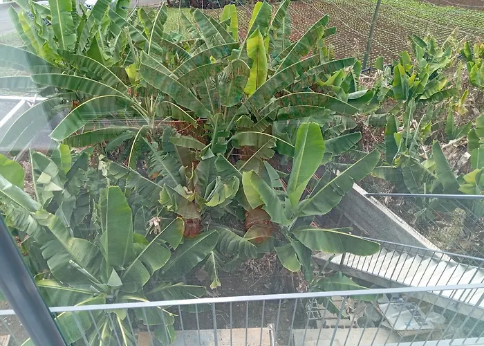 House Caetano Willa Ponta do Sol (Madeira)