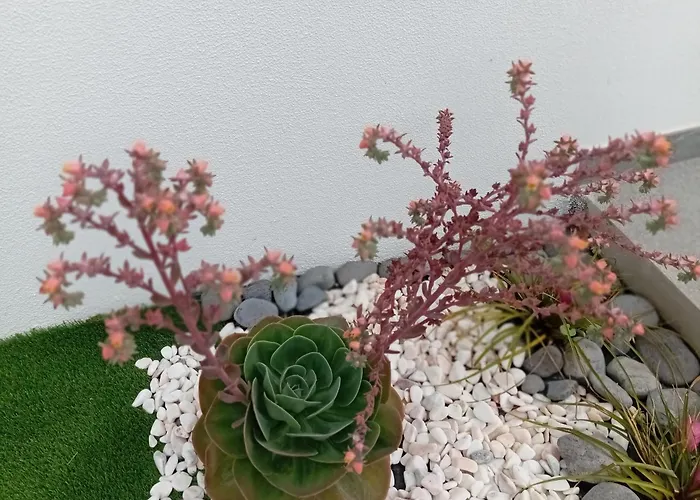 House Caetano * Ponta do Sol (Madeira)